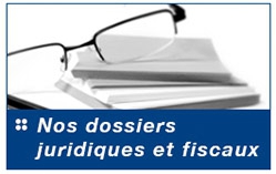 Avocat Fiscaliste Paris, conseil fiscal, Patrick Michaud, avocat spécialisé en droit fiscal Paris